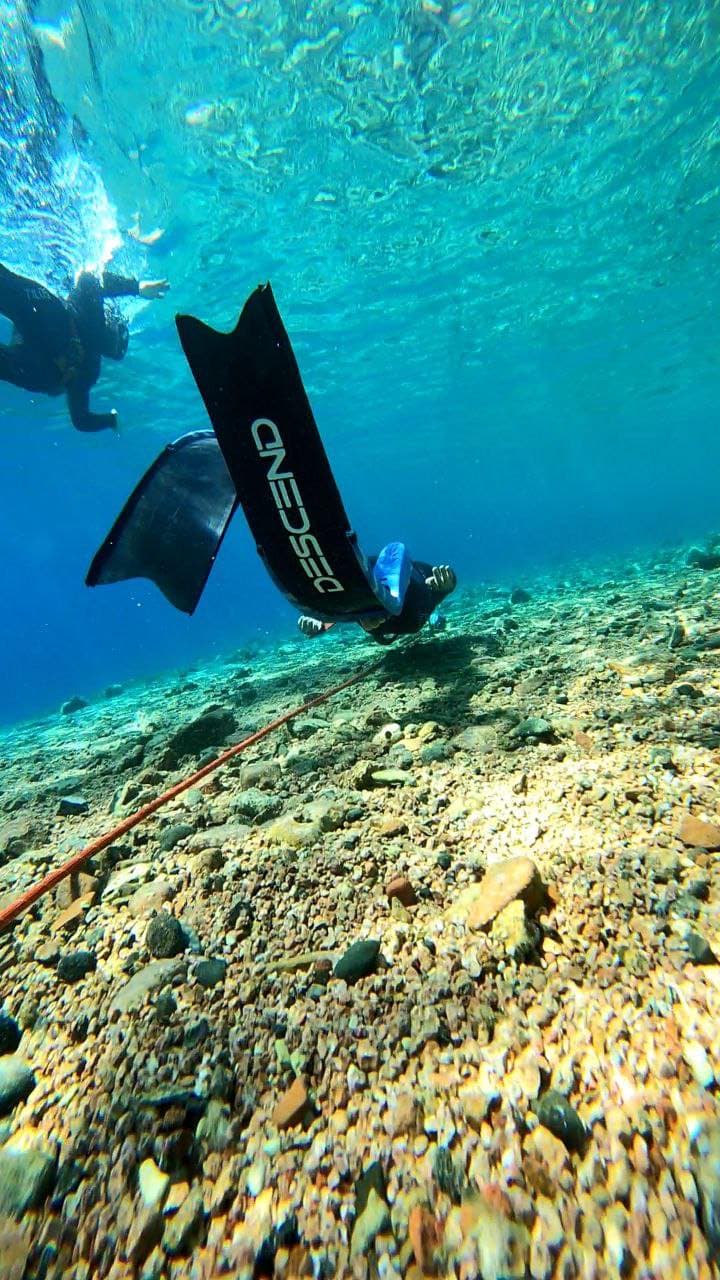 A diver kicking Descend fins over a pebble seabed, the blade flexing through the water