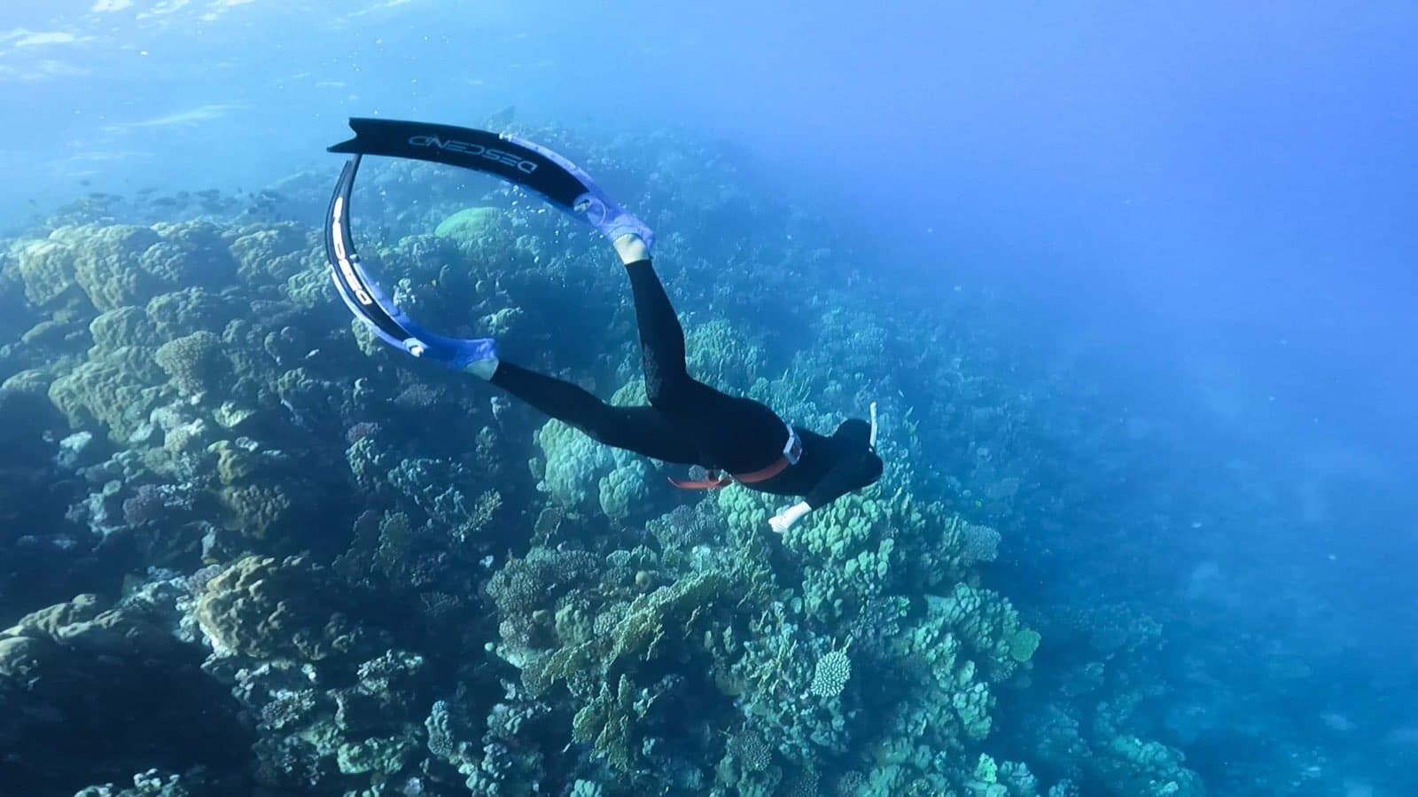 A freediver in Descend fins gliding over a coral reef in clear blue water