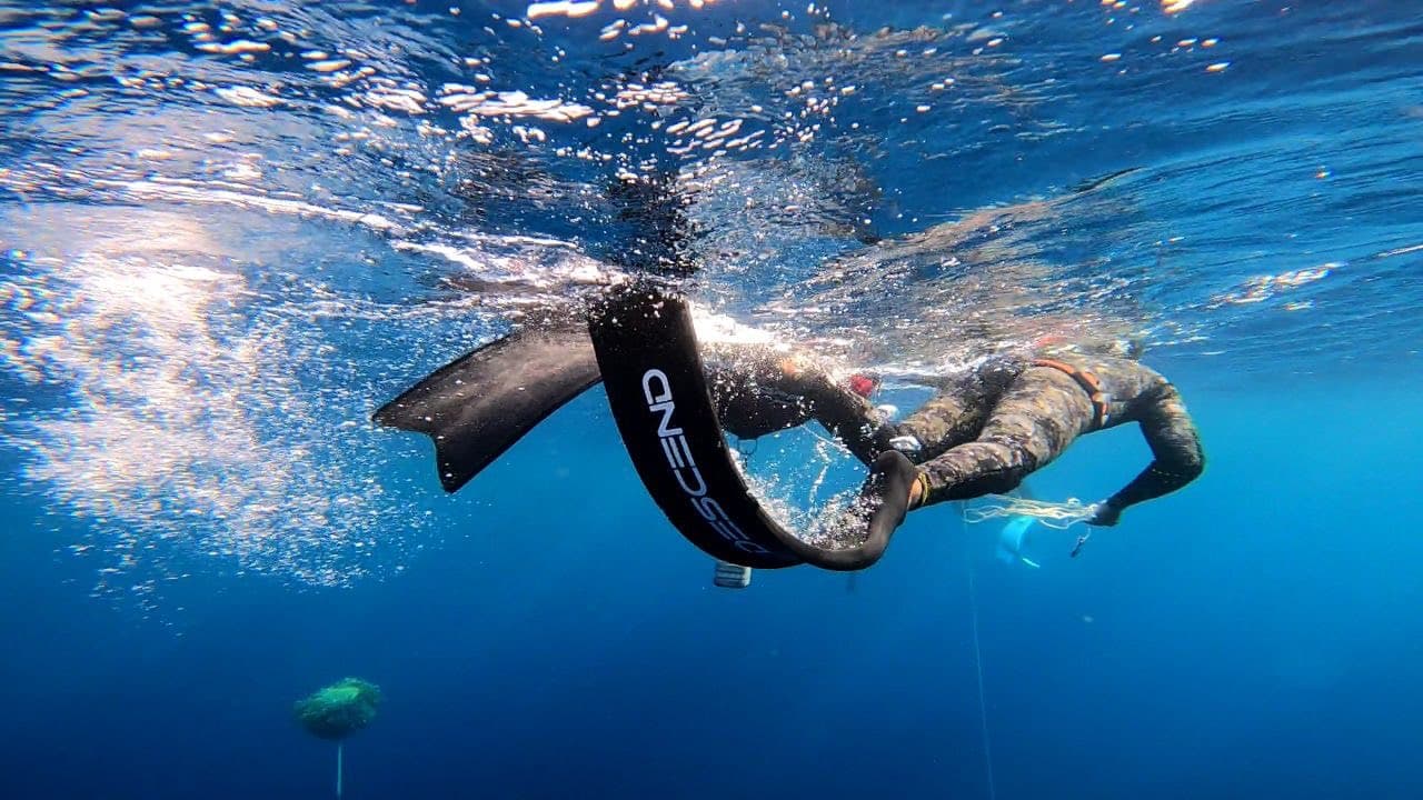 Two freedivers at the surface, one kicking a black Descend fin through the water