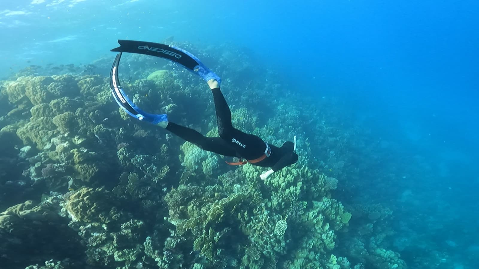 Freediver gliding over a coral reef wearing Descend fins